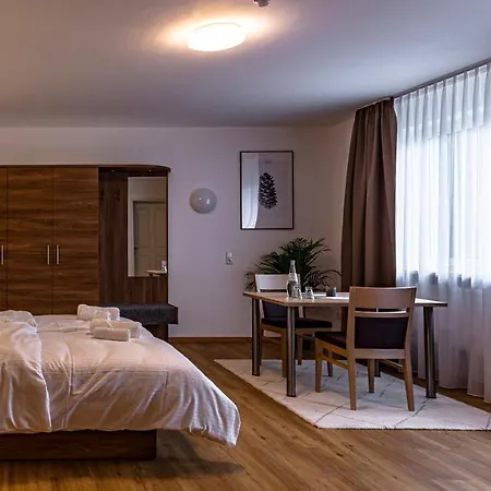 Zur Dachsbaude 汽车旅馆 万德利茨