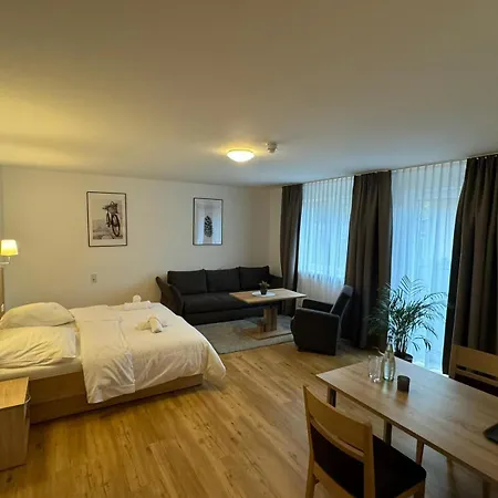Zur Dachsbaude 汽车旅馆 万德利茨