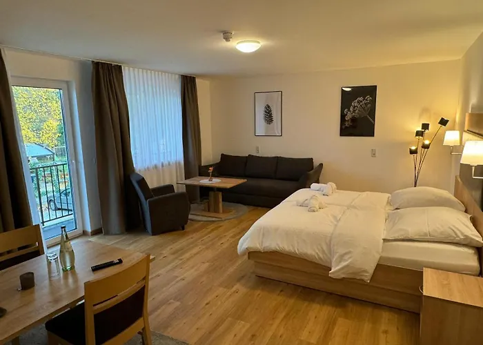 モーテル Zur Dachsbaude 3*