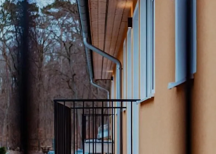 Zur Dachsbaude モーテル